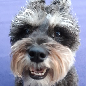 Fundraising Page: Kristie McIntyre